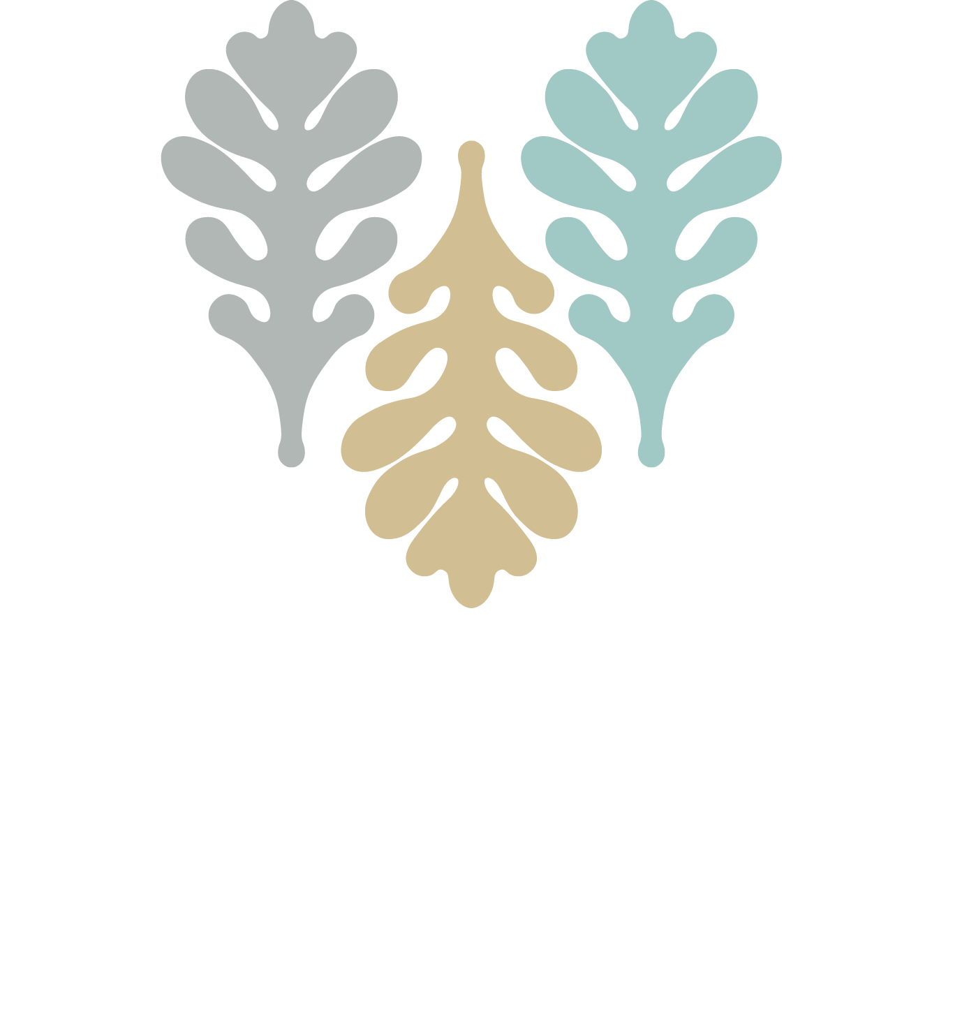 Brady Family Wealth logo